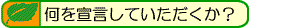 何を宣言していただくか？