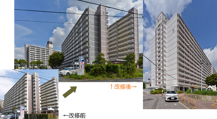 GPC2019特別賞　UR都市機構豊成団地　受賞者：遠藤　剛生　[株式会社遠藤剛生建築設計事務所]